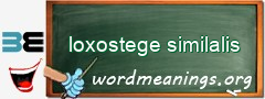 WordMeaning blackboard for loxostege similalis